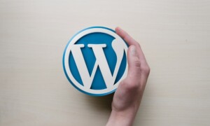 Perbedaan post dan page di WordPress